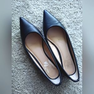 Kaari Blue Pointed Toe Black Flats